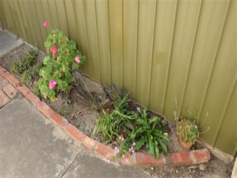 32 Main Street, Henley Beach SA 5022