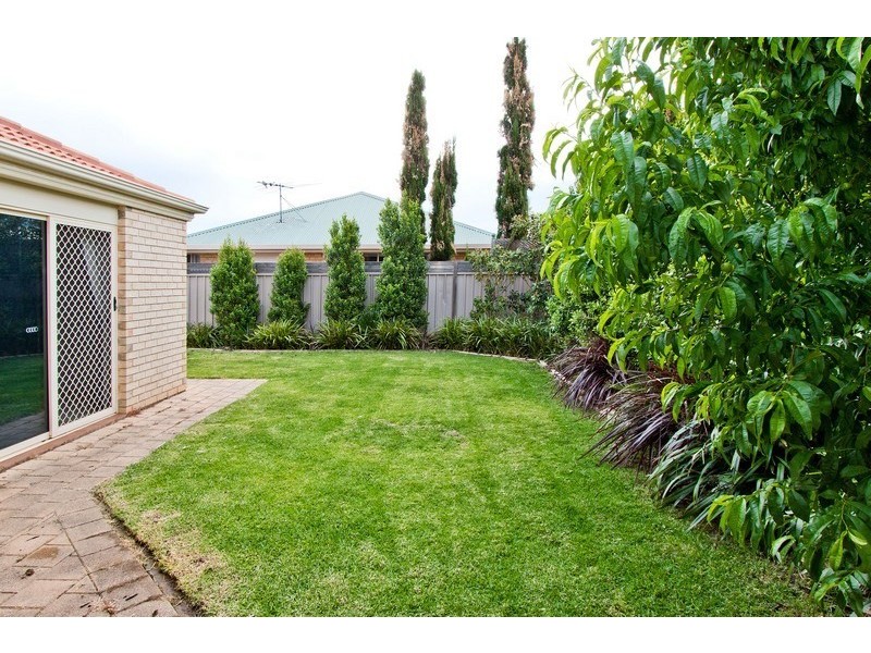 40 Alfred Avenue, Seaton SA 5023