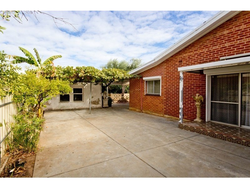 19 Malurus Avenue, Lockleys SA 5032