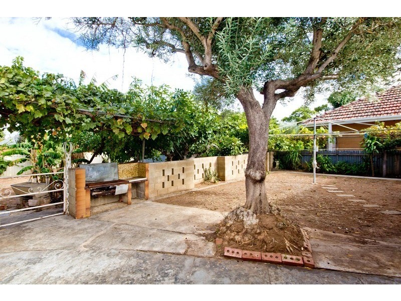 19 Malurus Avenue, Lockleys SA 5032