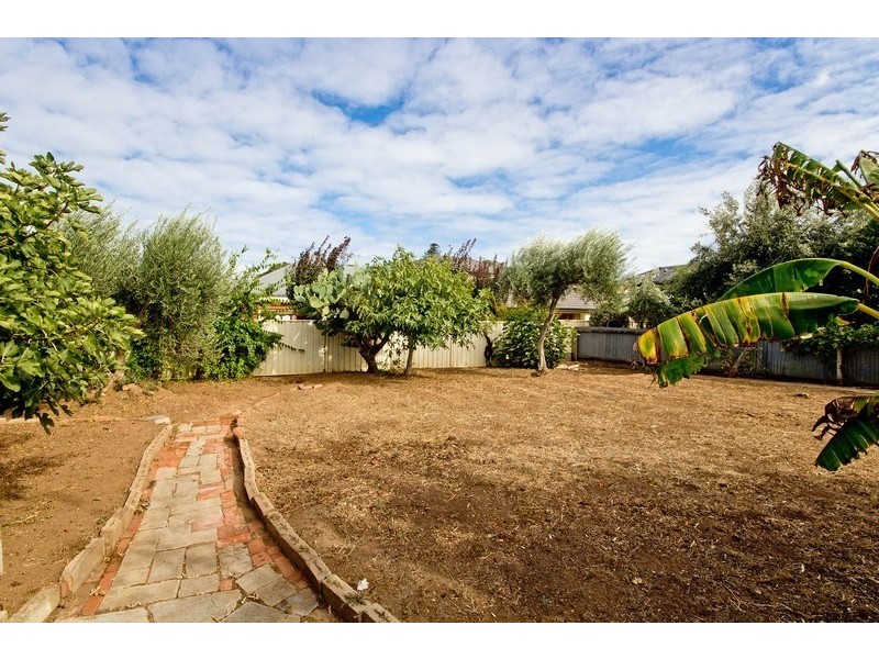 19 Malurus Avenue, Lockleys SA 5032