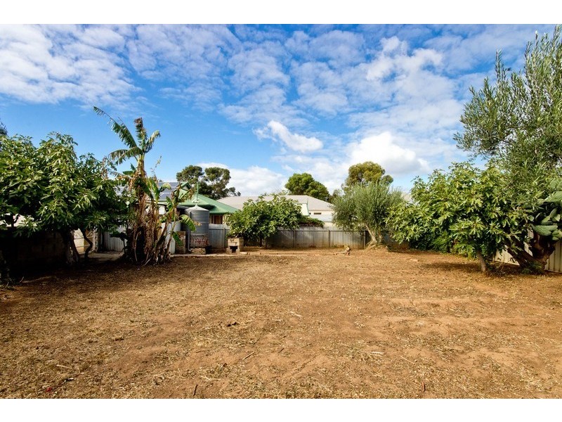 19 Malurus Avenue, Lockleys SA 5032