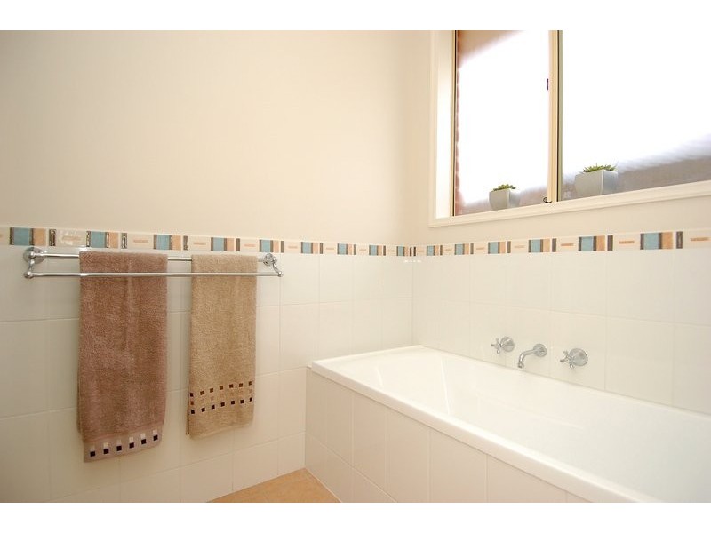 50 Nelson Street, South Plympton SA 5038