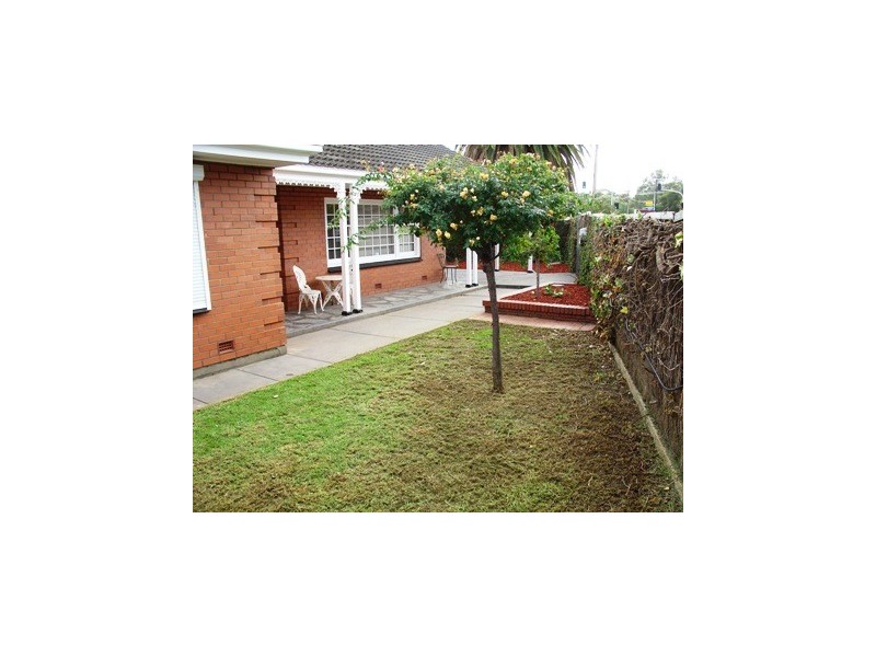 53 Rowells Road, Lockleys SA 5032