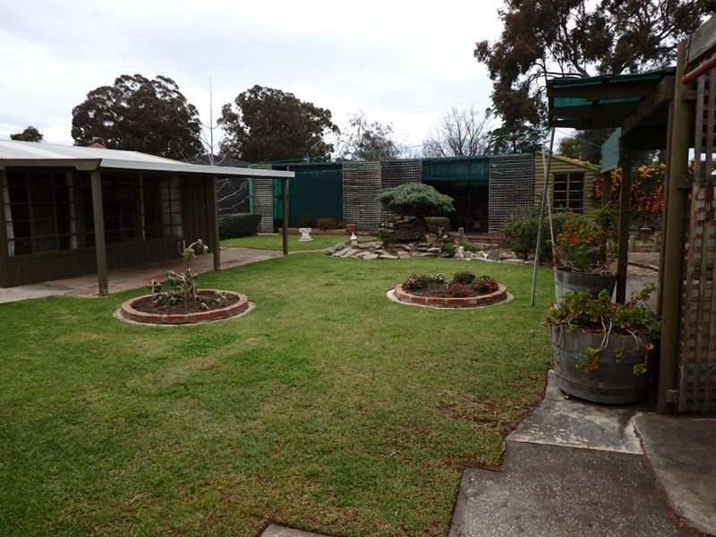 3 Balmoral Street, Lockleys SA 5032