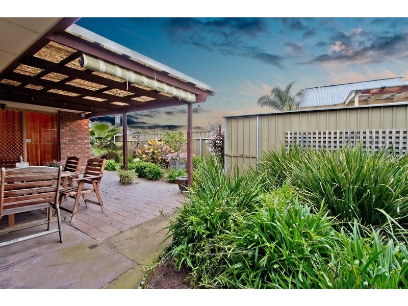 26 Anthus Street, Lockleys SA 5032