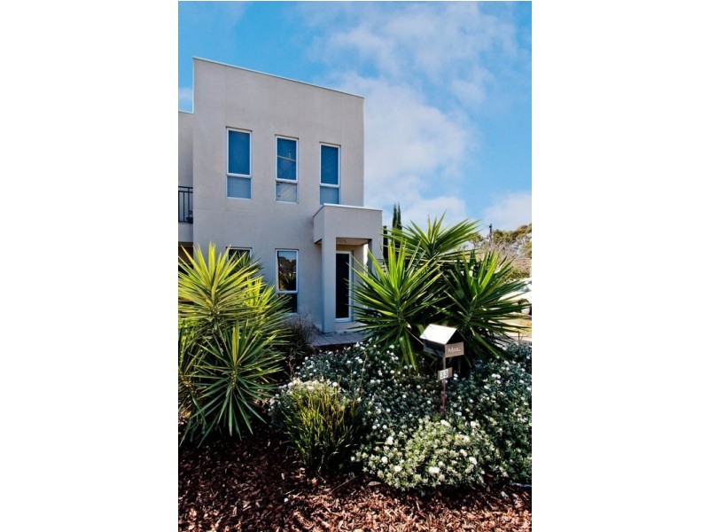 33 Myrtle Grove, Clovelly Park SA 5042