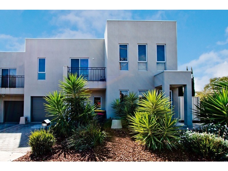 33 Myrtle Grove, Clovelly Park SA 5042