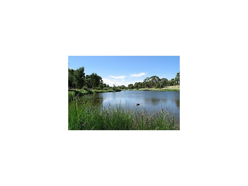 15a Sims Street, Henley Beach South SA 5022