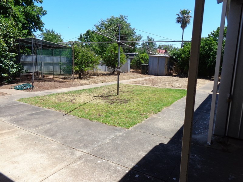 68 Ayers Avenue, Daw Park SA 5041