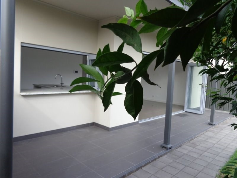 8 Belgrave Avenue, Flinders Park SA 5025