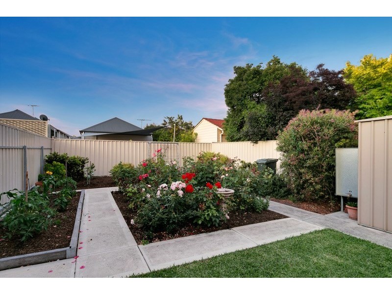 24 Belfast Street, Henley Beach SA 5022