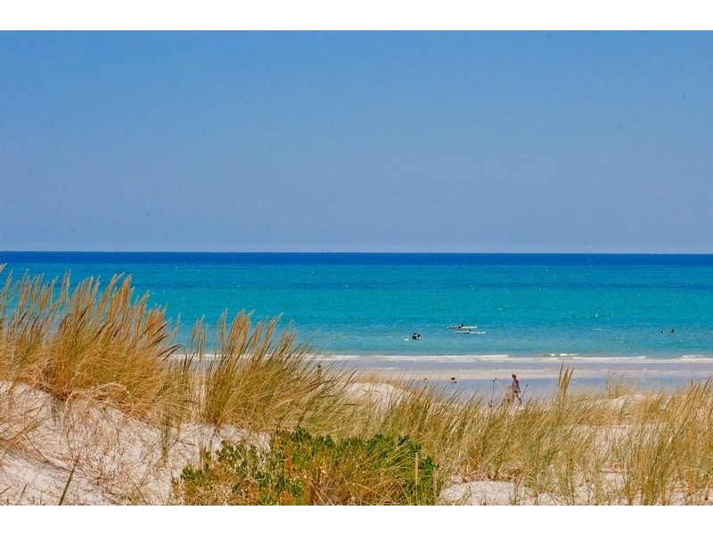 8/417 Seaview Road, Henley Beach SA 5022