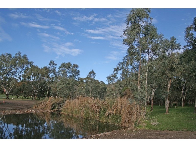 16 Franciscan Avenue, Lockleys SA 5032