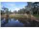 16 Franciscan Avenue, Lockleys SA 5032