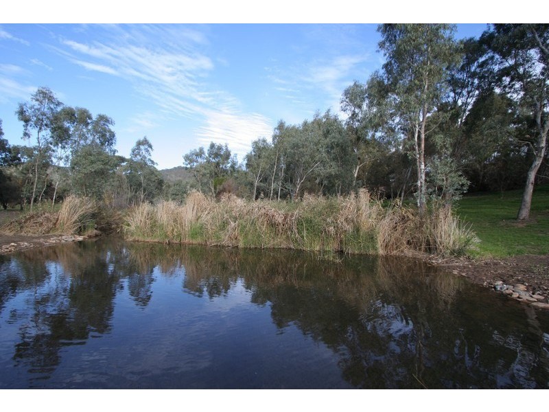 16 Franciscan Avenue, Lockleys SA 5032