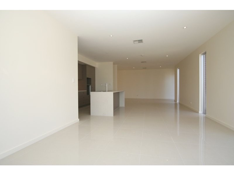 20 Herbert Road, Ashford SA 5035