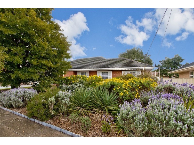 15 Moresby Street, Lockleys SA 5032