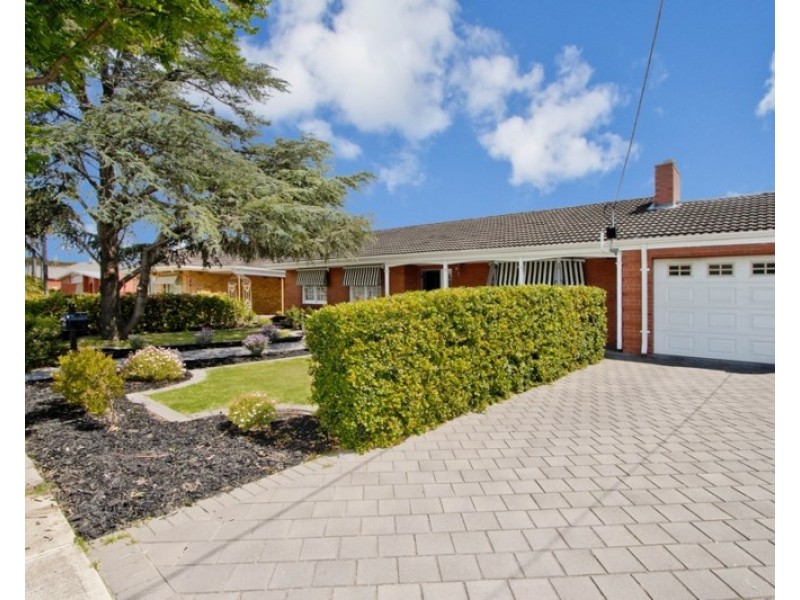 58 Rutland Avenue, Lockleys SA 5032