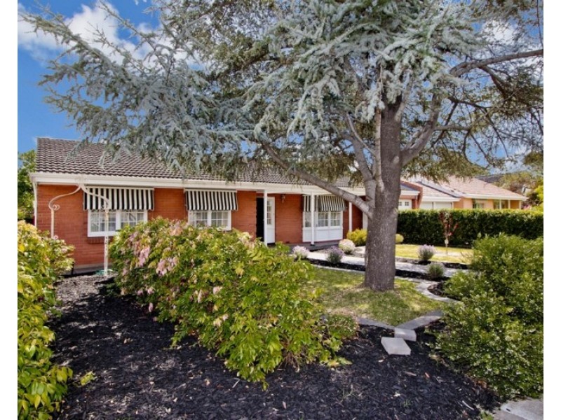 58 Rutland Avenue, Lockleys SA 5032