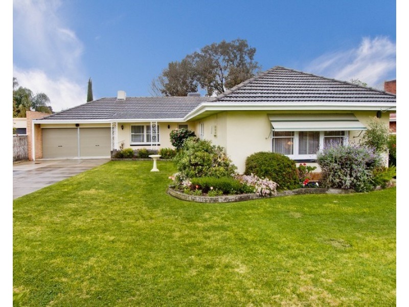 10 Clyde Avenue, Lockleys SA 5032