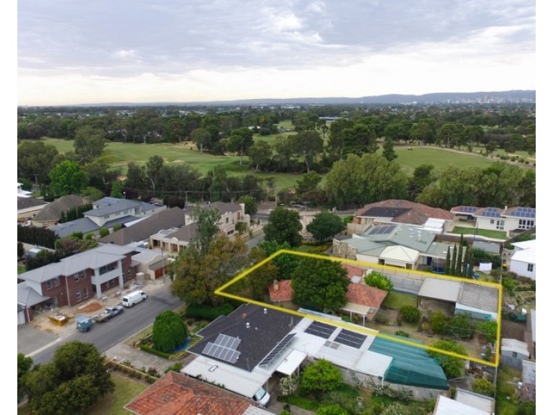 5 Southerly Avenue, Lockleys SA 5032