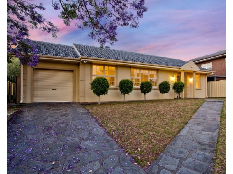 17 Duncan Street, Lockleys SA 5032