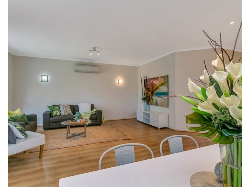 8 Aylwin Street, Henley Beach South SA 5022