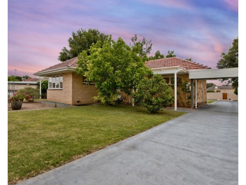 5 Southerly Avenue, Lockleys SA 5032