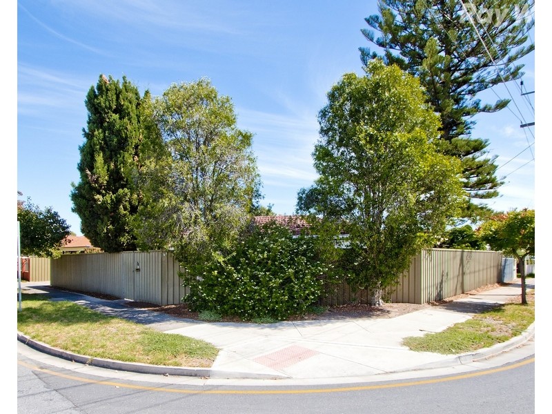 38 Torrens Avenue, Lockleys SA 5032