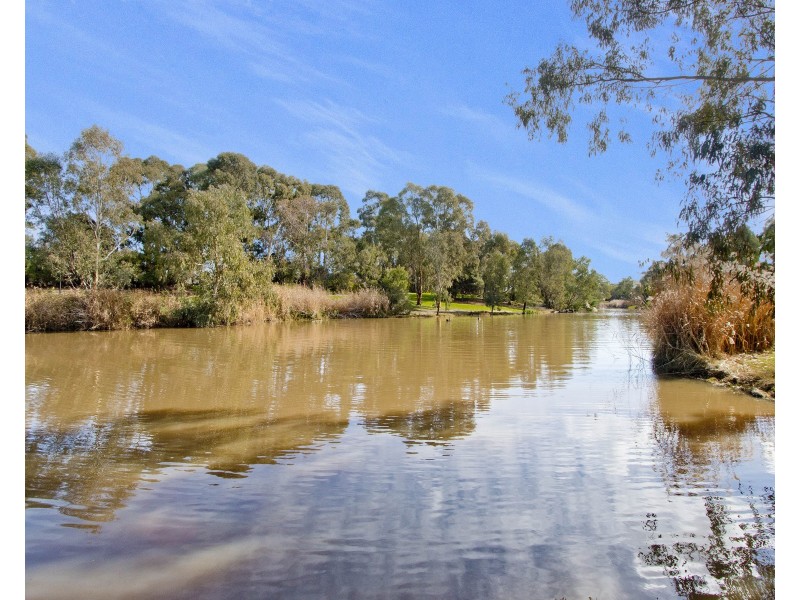 38 Torrens Avenue, Lockleys SA 5032