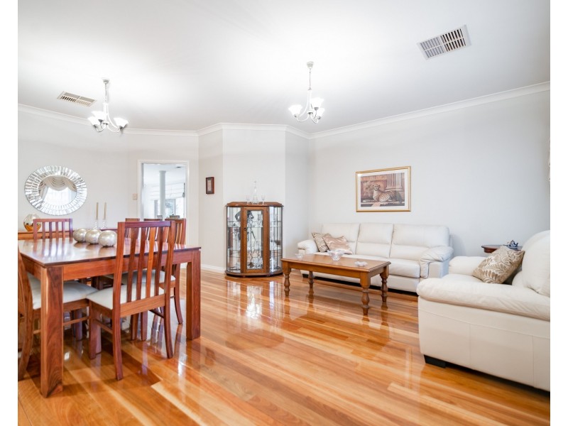 65 Osborn Terrace, Plympton SA 5038