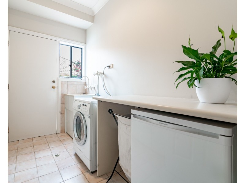 65 Osborn Terrace, Plympton SA 5038