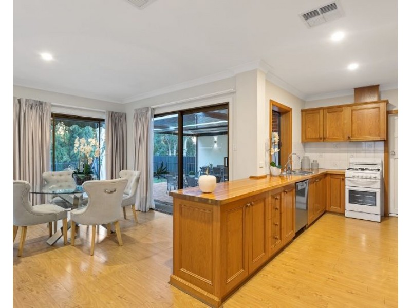 10 Willingale Avenue, Lockleys SA 5032