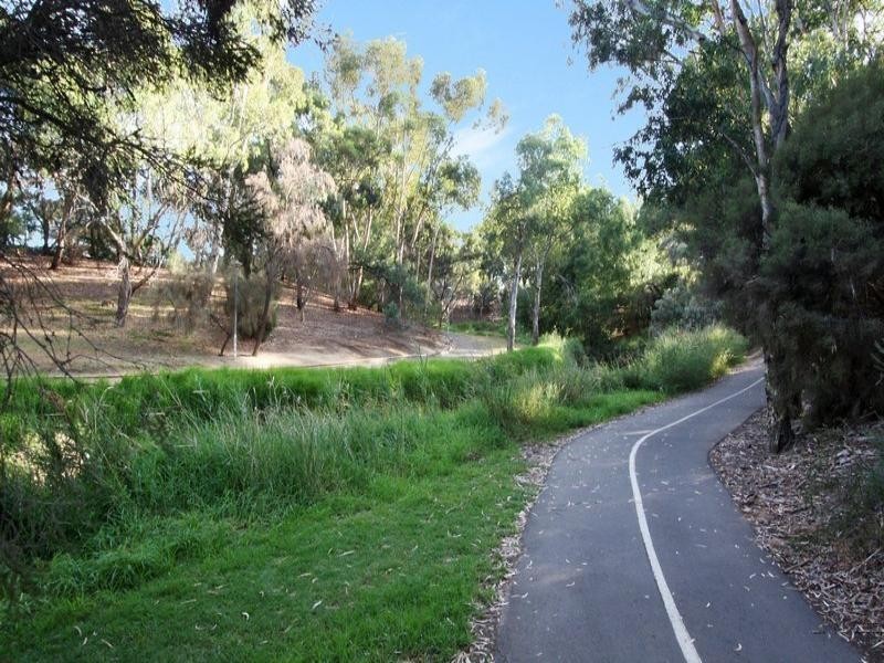 104 Autumn Avenue, Lockleys SA 5032