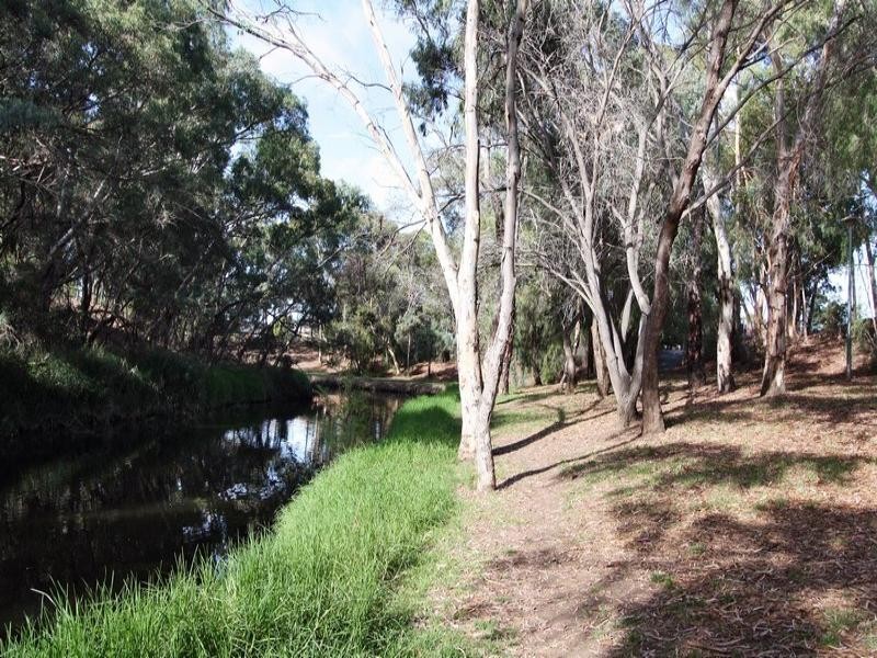 104 Autumn Avenue, Lockleys SA 5032