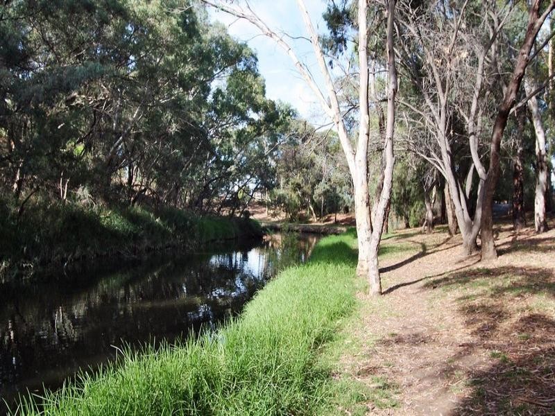 104 Autumn Avenue, Lockleys SA 5032