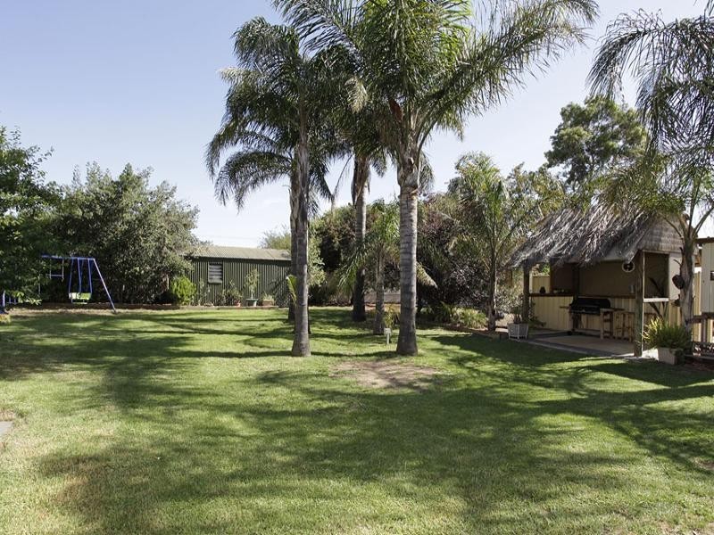 12 Elms Avenue, Richmond SA 5033