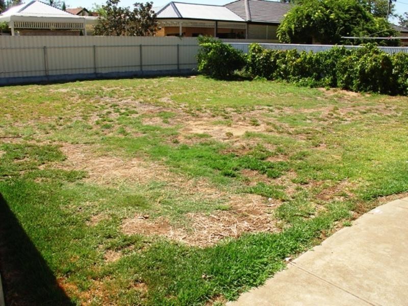 2 Balmoral Street, Lockleys SA 5032