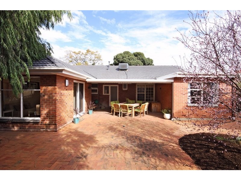 19 Duncan Street, Lockleys SA 5032