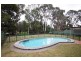 10 Willingale Avenue, Lockleys SA 5032