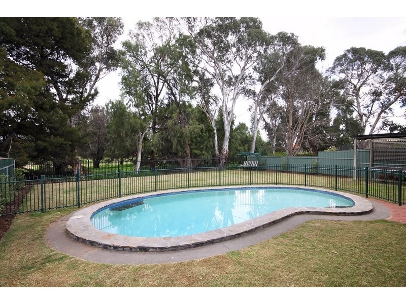 10 Willingale Avenue, Lockleys SA 5032