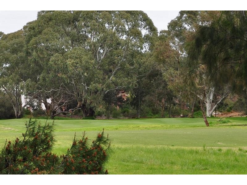 10 Willingale Avenue, Lockleys SA 5032