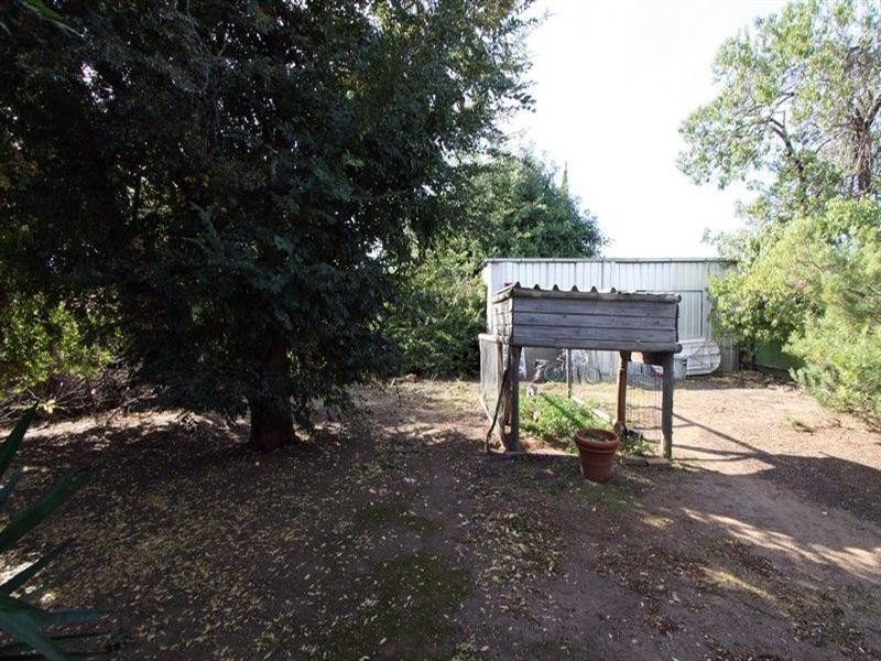 20 Thomas Avenue, St Morris SA 5068