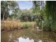 39 Fulham Park Drive, Lockleys SA 5032