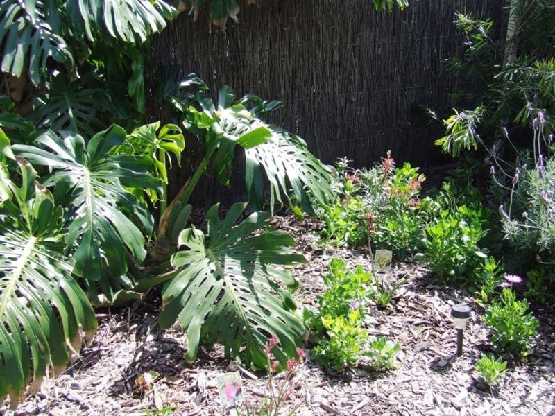 3/56 Chambers Street, Henley Beach SA 5022