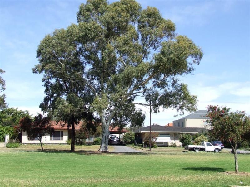 3/56 Chambers Street, Henley Beach SA 5022