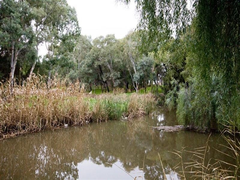 1A Strathmore Avenue, Lockleys SA 5032