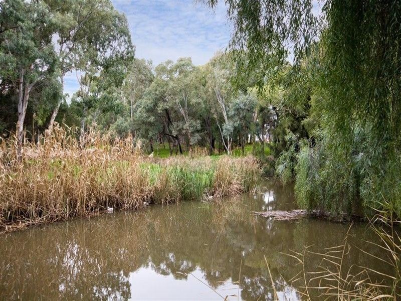 16 Dartmoor Street, Lockleys SA 5032