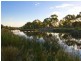 6 Netley Avenue, Lockleys SA 5032